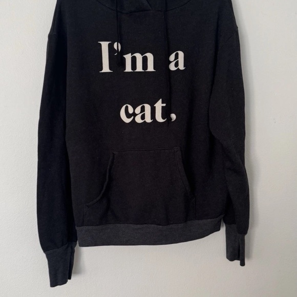 Wildfox Other - WILDFOX Guess What I Am Cuddles Cat Hoodie With Ears Large NWT